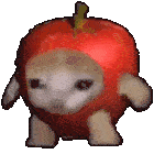 the apple cat, turning